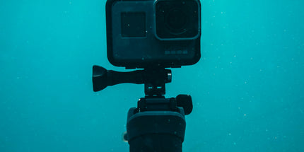 Collection image for: Media